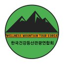 wellness 티스토리