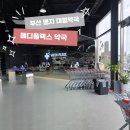 365명지약국 네이버블로그