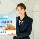 하면돼지