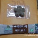 현미사 이미지