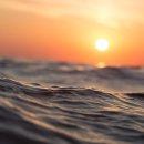 온종일바다 이미지