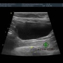 미사동물병원 이미지