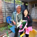 토마토 민박 이미지