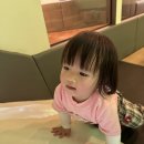 리틀비틀 이미지