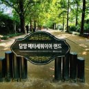 메타세쿼이아랜드 이미지