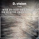 디비전 스칼프 이미지