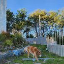 스테이 루비 이미지