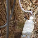 신도연못 옆 이미지