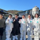 피그랜드 3단지 이미지