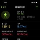 강서둘레길(봉제산코스) 이미지