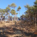 대성사 앞 이미지