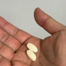 제노 | 임신 준비 필수영양제, 남성용 테라랩 제노스퍼 후기