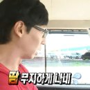 일번지게임랜드 | 충주 계명산 자연휴양림 잣나무 후기｜여름 성수기 7만원에 충주상품권까지