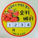 오키과일