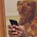 화개유시 | [중국 BL드라마] 화개유시 퇴마무성 리뷰 - 실환가 (헤븐리 독점)