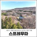 한라산풍경 | 제주시 대형카페 한라산이 보이는 제주 카페 스프레무따