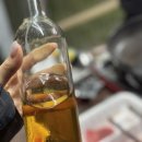 슬로우팜체험펜션 이미지