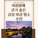 숭의철교 인근 교통섬 | 🌙 여름밤에 걷기 좋은 감성 야경 명소 추천 (서울/수도권 기준) – 한여름의 로맨틱 산책 코스 BEST 7