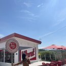 팔팔명가국밥 사동점 이미지