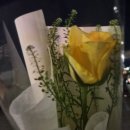꼬시다;꽃 이미지