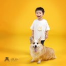 진관-044 이미지