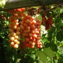 임실농장 이미지