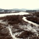 하얀천국 이미지