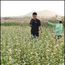 선운 농장 이미지