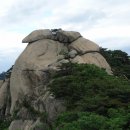 곰과여우 이미지