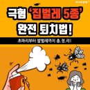 집벌레 완전퇴치법 이미지