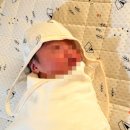 맘스매니저 | 내돈내산 / 구리 산후도우미 맘스매니저 이모님추천