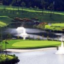 소피아그린 이미지