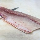 우리수산회센타 이미지