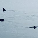 마음드리 이미지