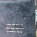 경주별맥 이미지