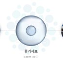 미라셀주식회사 이미지