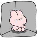 보리토리 이미지