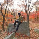 단풍약국 이미지