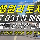 [ 구좌읍 행원리 폴로경기장 인근 대형 토지 매매(7031평/임야+과수원) ]#행원토지, 행원리토지, 구좌토지, 구좌읍토지, 폴로경기장토지, 행원폴로경기장토지 이미지