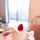 마마롱 제주 블루리본 카페 <b>마마롱</b> 프렌치스타일 디저트｜신성의숲 산책 코스