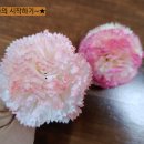 루덴스랩 네이버블로그