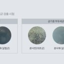 이음인테리어 - 고양시 일산서구 일산로 485 | 이음인테리어
