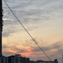 비이에치씨치킨사직미남점 | 이게 일상이야 야구일기야 ᕑᗢᓫ