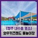 청원소공원 체육시설 | [청주 내수읍 명소] 와우키즈랜드 물놀이장 - #청주 대형 키즈카페 물놀이장