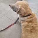 아람동물의료센터 이미지