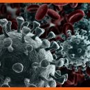 삼호고등학교 이미지