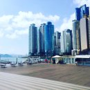 대승프라임 이미지