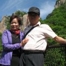 대둔산장 - 27009 | 대둔산장