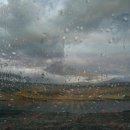 사랑애완동물병원 이미지