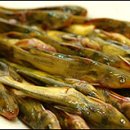 무주어죽 이미지